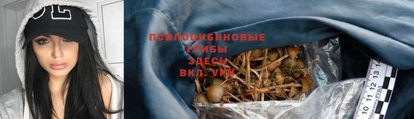 мескалин Надым