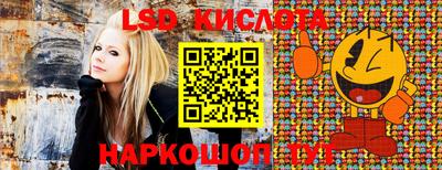 крисы Донской