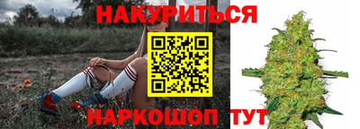 крисы Донской