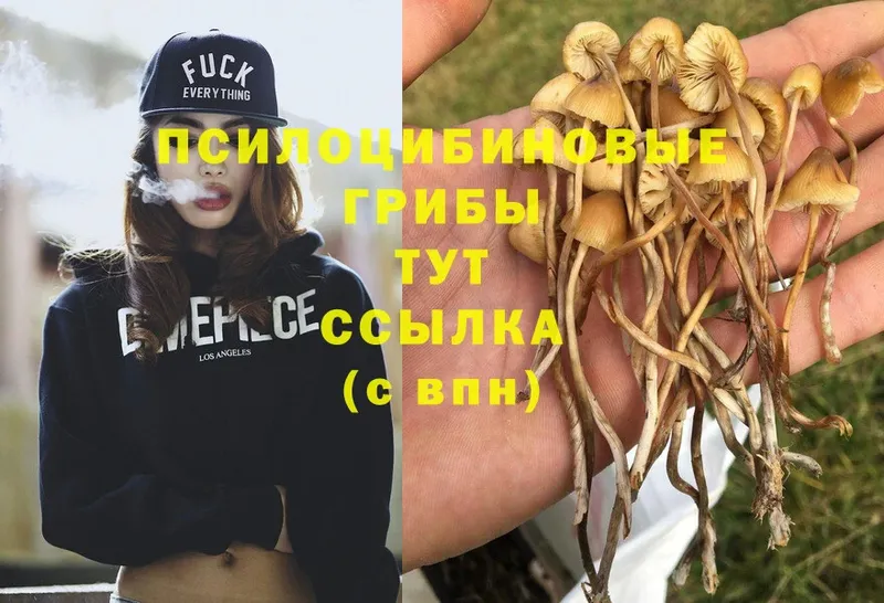 kraken ССЫЛКА  Еманжелинск  Галлюциногенные грибы Cubensis 