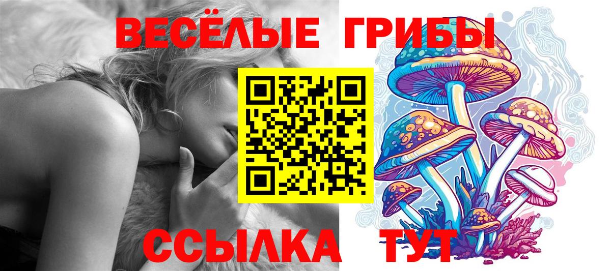 Псилоцибиновые грибы Psilocybine cubensis Еманжелинск