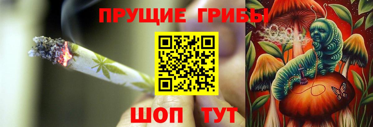 Псилоцибиновые грибы прущие грибы  Вход с VPN  Еманжелинск 
